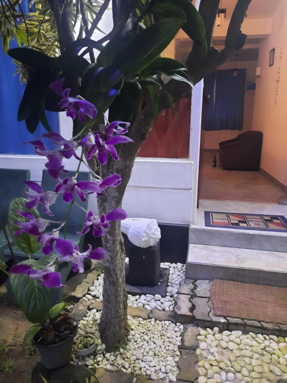 White Surfing Beach Resort Unawatuna Exterior foto