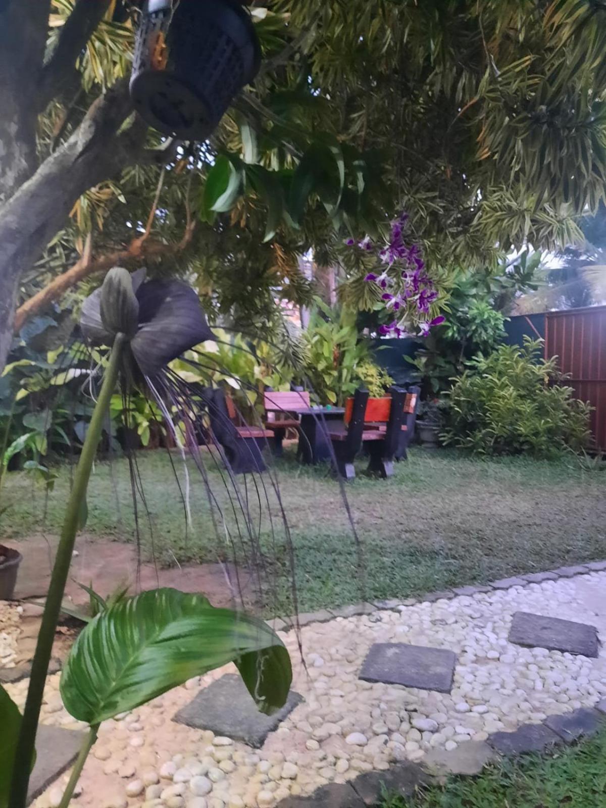 White Surfing Beach Resort Unawatuna Exterior foto