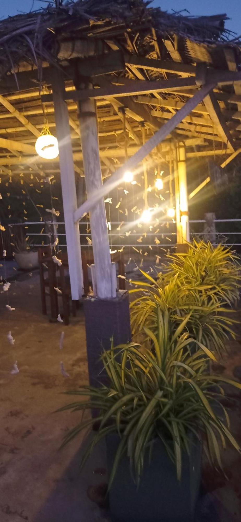 White Surfing Beach Resort Unawatuna Exterior foto